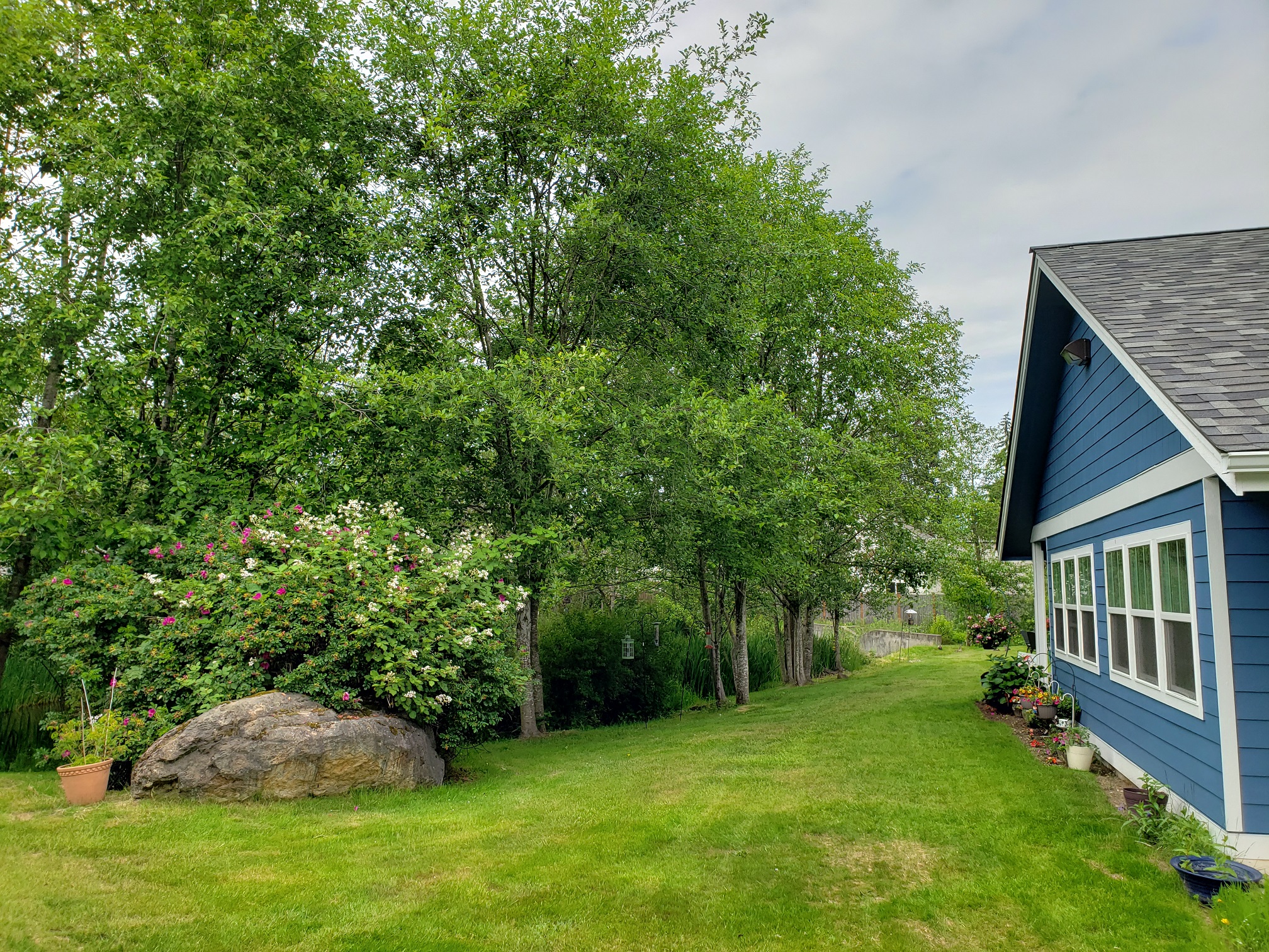 Cottages side yard with flowers